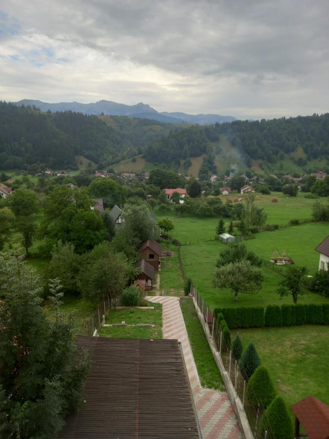 Pensiunea Brian Moieciu de Jos Exterior foto